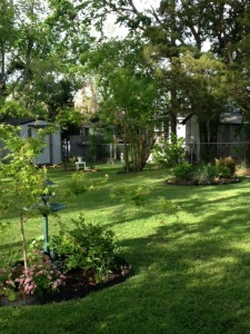 yard and gardens