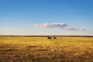 horseback on the prairie