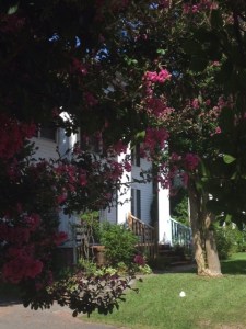 House in Summer copy