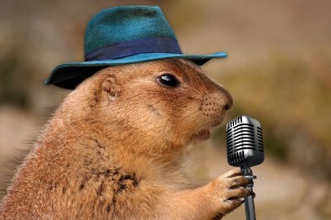 prairie dog with microphone
