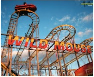 wild-mouse-sign-copy